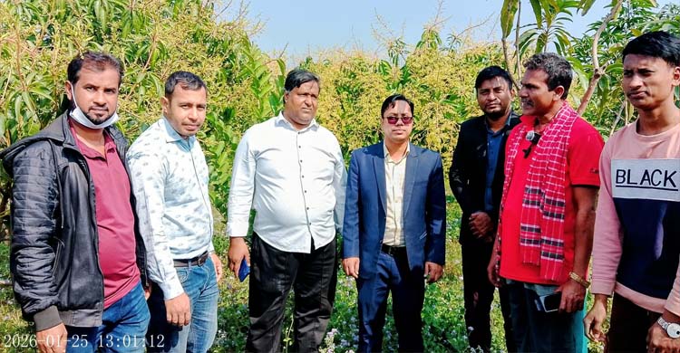 বিশ্বনাথে ২ কোটি টাকা ব্যয়ে পৃথিবী বিখ্যাত "মিয়াজাকি" আম চাষ শুরু