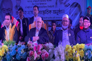 হবিগঞ্জ–৪ আসনে ২৮ চা বাগানে ধানের শীষের পক্ষে ঐক্যবদ্ধ সমর্থন