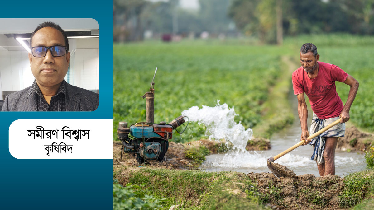 লোডশেডিং ও তাপপ্রবাহ : কৃষিতে বাড়ছে শঙ্কা