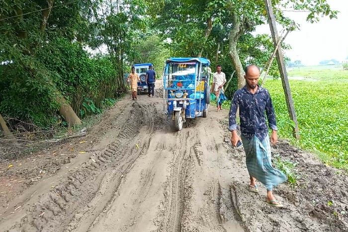 সড়ক যেন চাষের জমি!