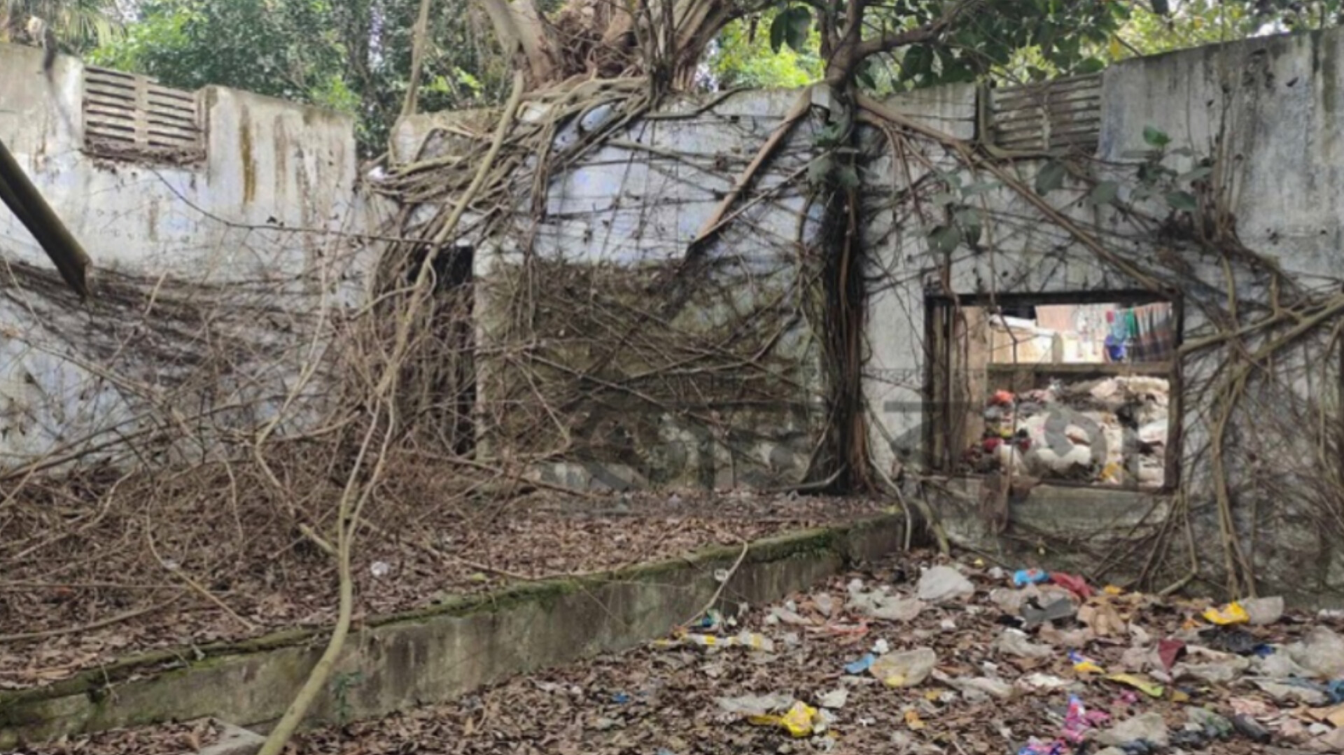 ময়লার ভাগাড়ে পরিণত আজমিরীগঞ্জের পাবলিক লাইব্রেরি 