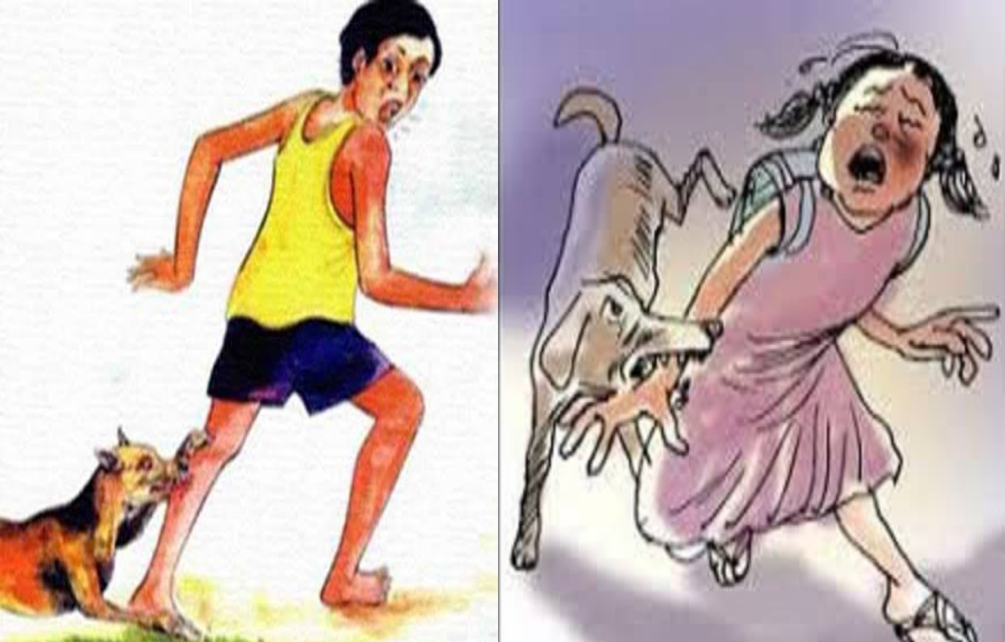 জগন্নাথপুরে শিয়াল, কুকুরের কামড়ে শিশু-নারীসহ আহত ২৩
