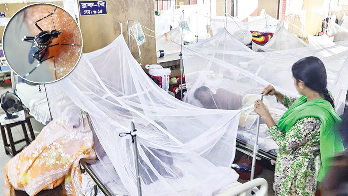 একদিনে রেকর্ড ১২৪৬ ডেঙ্গু রোগী হাসপাতালে