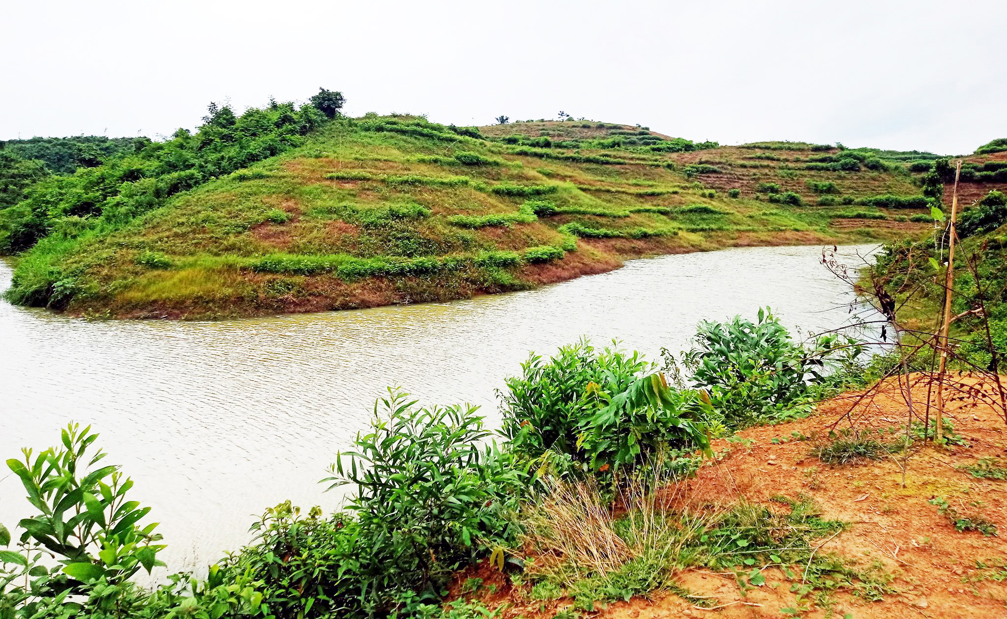 পর্যটকদের নতুন আকর্ষণ কমলগঞ্জের &lsquo;পদ্মছড়া লেক&rsquo;