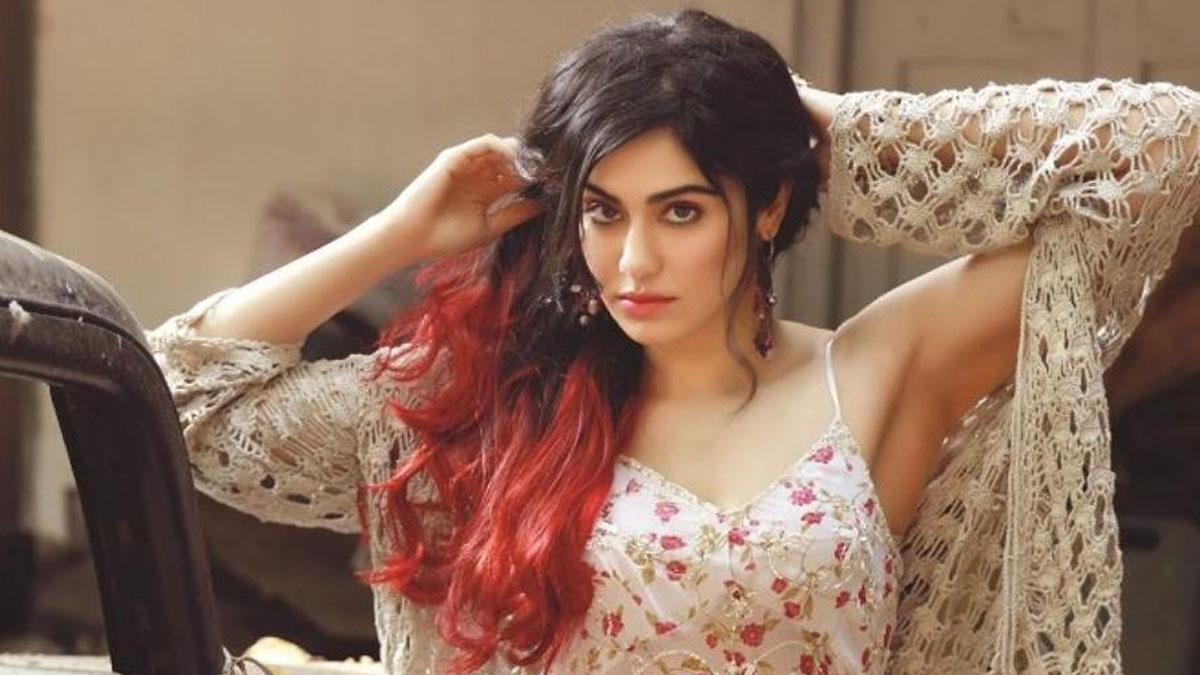 &lsquo;দ্য কেরালা স্টোরি&rsquo;র সাফল্যে এবার আন্তর্জাতিক অঙ্গনে অদা