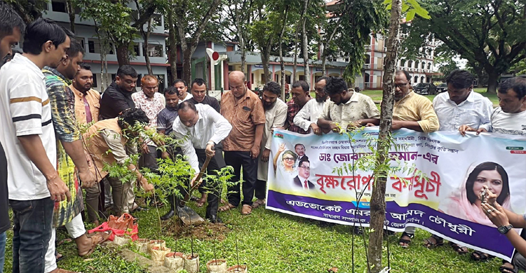 ডা. জুবাইদার জন্মবার্ষিকীতে গোলাপগঞ্জের বিভিন্ন শিক্ষা প্রতিষ্ঠানে বৃক্ষরোপণ