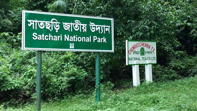 সাতছড়ি বন থেকে পি'স্ত'ল, ম্যা'গা'জিন ও গু'লি উ'দ্ধার
