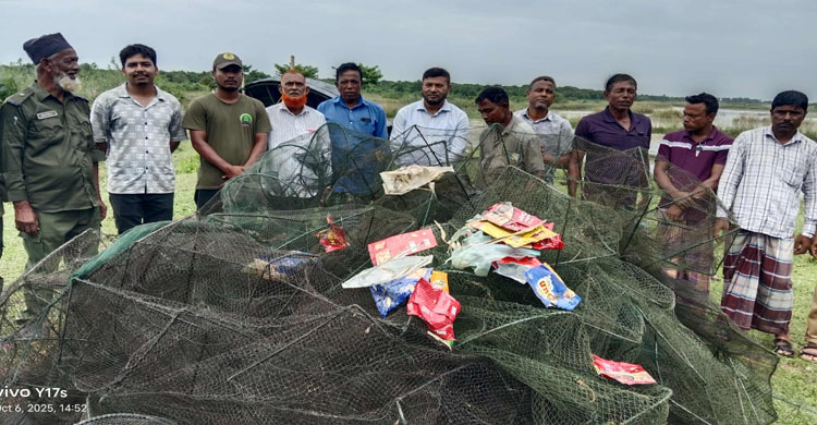 রাতারগুলে চায়না জালের থাবা বন বিভাগের হস্তক্ষেপে উদ্ধার ৩১টি জাল