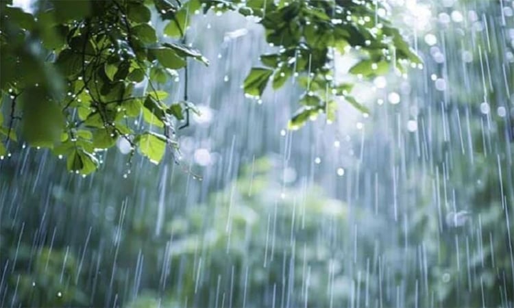 সিলেটসহ বিভিন্ন স্থানে বৃষ্টির বার্তা
