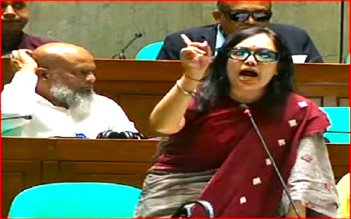 রুমিন ফারহানার বক্তব্যে সংসদে তু/মুল হ/ট্টগোল, গা/লাগালের অ/ভিযোগ