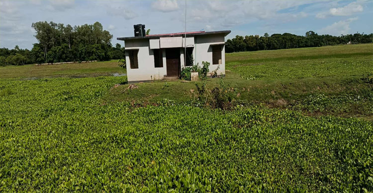 কাজ না করেই ঘরে বসে বেতন-ভাতা নেন স্বাস্থ্যকর্মী ফারহানা