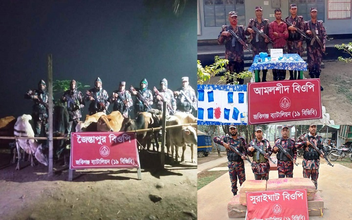 বিজিবির অভি*যানে প্রায় ১৬ লক্ষ টাকার ইয়া*বা ও চো*রাচালানি মালামাল আট*ক
