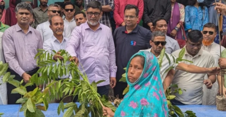 পরিবেশ সংরক্ষণে ময়মনসিংহে বিভিন্ন প্রজাতির গাছের চারা বিতরণ
