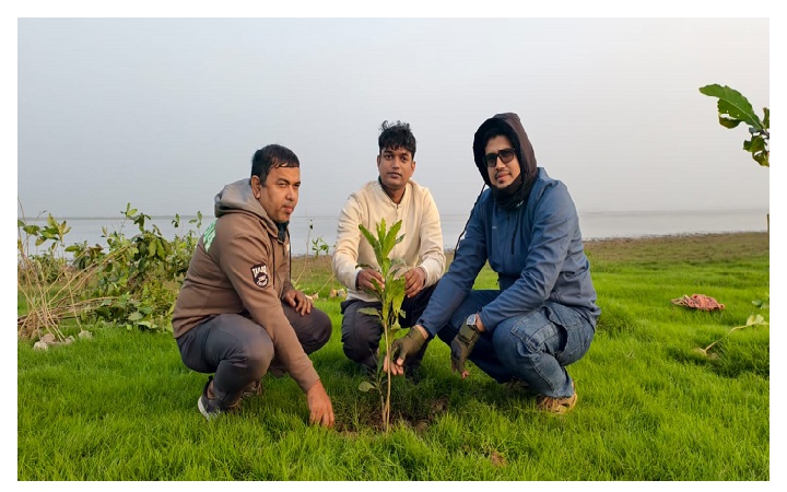 হাকালুকি হাওরে রোপণ করা  হচ্ছে ১২ হাজার হিজল গাছ