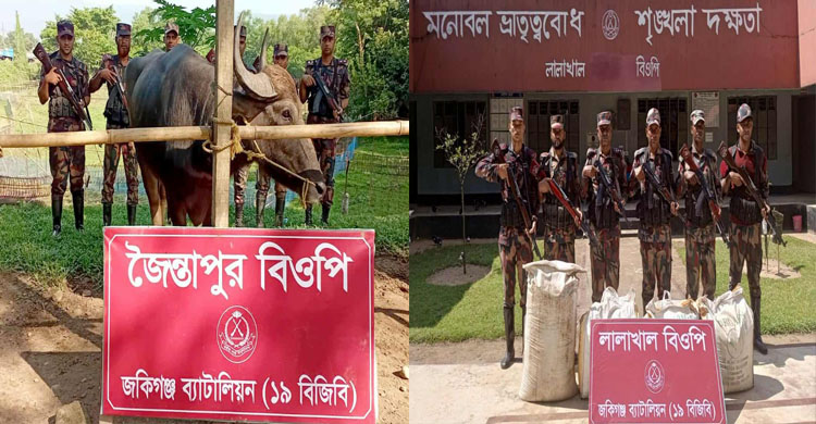 জৈন্তাপুর কানাইঘাটে প্রায় ৩২ লক্ষ টাকার ভারতীয় গরু, মহিষ ও অবৈধ পণ্য আ ট ক