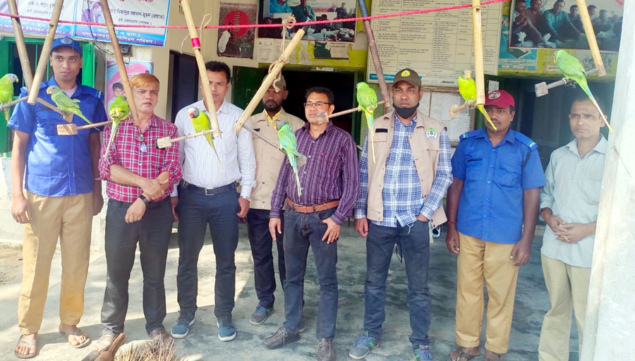 কমলগঞ্জে শিকারির কাছ থেকে ১২টি টিয়া পাখি উদ্ধার