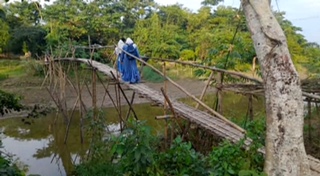 বিশ্বনাথে নড়বড়ে বাঁশের সাঁকোতে চলাচলের ঝুঁ'কিতে ৬ হাজার মানুষ