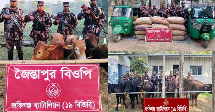 কানাইঘাটে ভা র তীয় গরুমহিষসহ বিভিন্ন প্রকার অ বৈ ধ মা লা মা ল জ*ব্দ