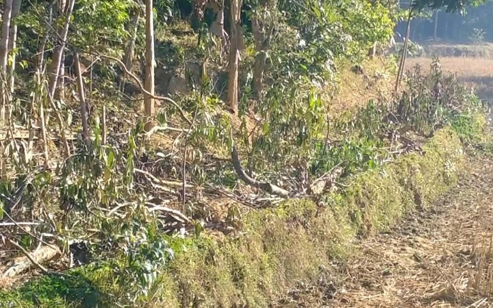 বড়লেখায় জনসাধারণের চলাচলের রাস্তায় প্র*তিব*ন্ধকতার অ*ভিযোগ