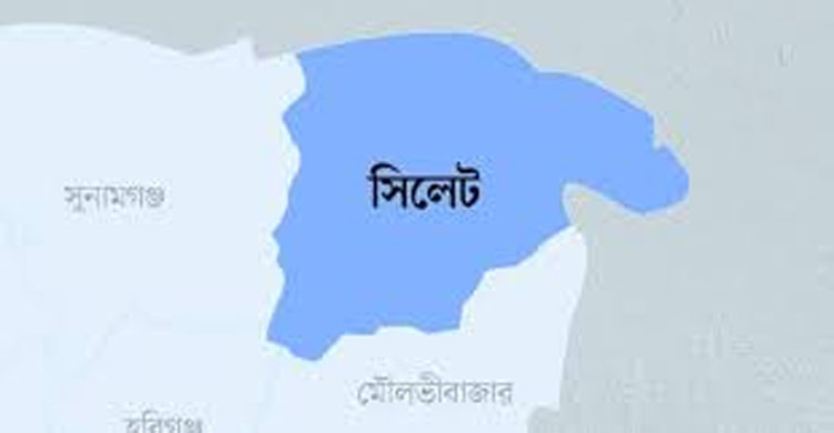 পারিবারিক সালিশে পুলিশের উপর হা ম লা