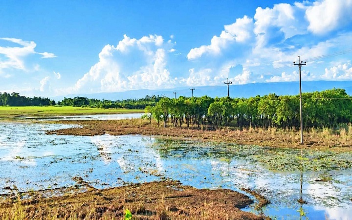 বন্যা না হওয়ায় দেশি মাছের চরম আকাল