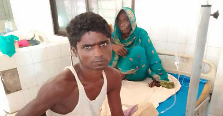 গোয়াইনঘাটে ভা র তী য় চো'রা'ই মহিষের আ ক্র ম ণে আ'হ'ত ১২, এলাকায় আ ত ঙ্ক