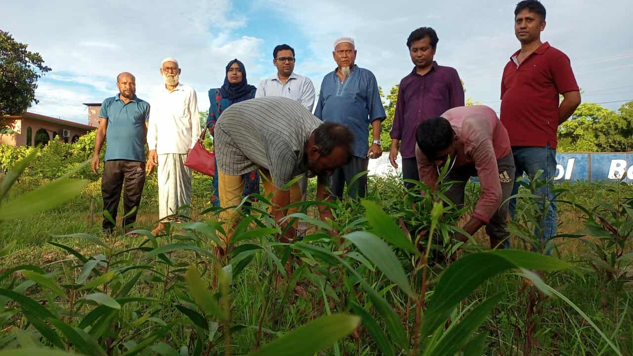 ওসমানীনগরে নি ষি দ্ধ গাছের চারা ধ্বং*স