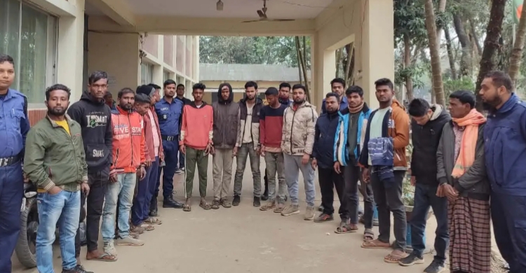 শারফিন টিল্লায় অ ভি যা ন, আ ট ক ১৬