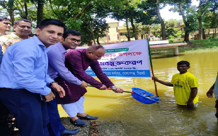 মাছ চাষে বদলে যেতে পারে  অর্থনীতি: এমরান আহমদ চৌধুরী এমপি
