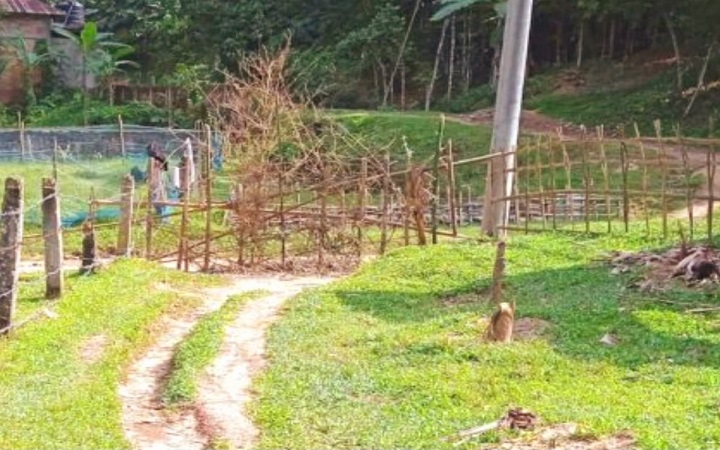 বড়লেখায় বেড়া দিয়ে গ্রামীণ রাস্তা ব*ন্ধ, দু*র্ভোগে ৪০ পরিবারের মানুষ
