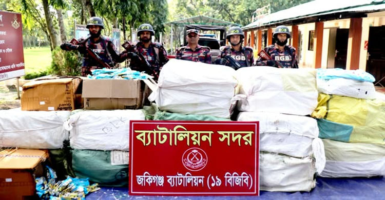 সিলেটে ১৯ বিজিবির অভিযানে ২৭ লাখ টাকার ভারতীয় কসমেটিকস জব্দ