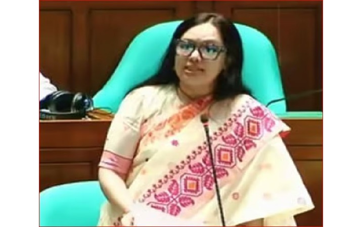 আইনশৃঙ্খলা পরিস্থিতি না*জুক অবস্থায় রয়েছে -  রুমিন ফারহানা এমপি