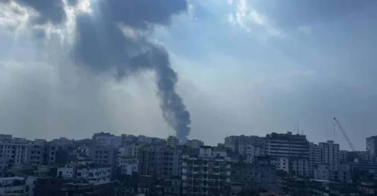 লালবাগে আ গু ন, প্লাস্টিক গোডাউন ঘিরে আ ত ঙ্ক