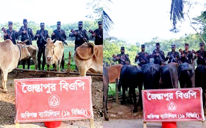 জৈন্তাপুরে ৭৪ লাখ টাকার ভা/রতীয় মহিষ-গরু ও শাড়ি জ/ব্দ