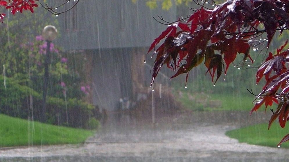 ঘূর্ণিঝড়ের প্রভাব: সিলেটসহ বিভিন্ন স্থানে ভারী বৃষ্টির আভাস