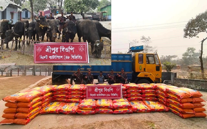 সিলেট সীমান্তে ১ কোটি  ১৭ লাখ টাকার চো*রাচালানি মালামাল জ*ব্দ