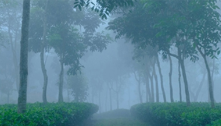 শীতে কাঁপছে শ্রীমঙ্গল, বাড়ছে ঠাণ্ডাজনিত রোগ