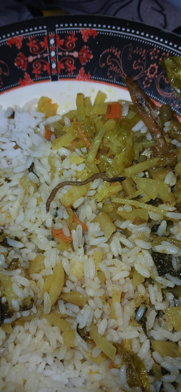 শাবির ছাত্রী হলের ক্যান্টিনের খাবারে মিলল কেঁচো