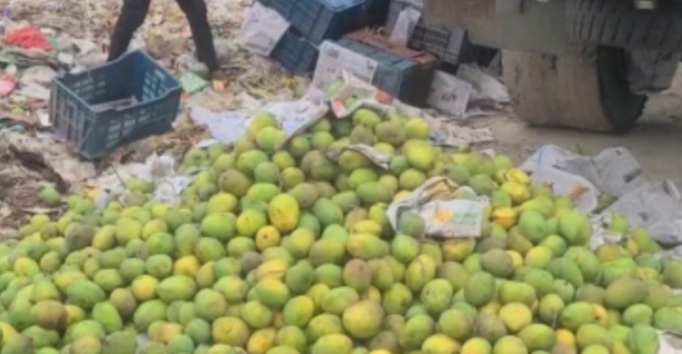 সাতক্ষীরায় পু*লিশের অ ভিযানে রাসায়নিক মেশানো আম উদ্ধার