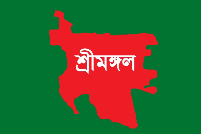 শ্রীমঙ্গলে বি'দ্যুৎস্পৃ'ষ্ট হয়ে শ্রমিকের মৃ'ত্যু