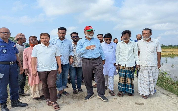 হাওরের ক্ষতিগ্রস্ত কৃষকদের পাশে এমপি ডা. সাখাওয়াত হাসান জীবন
