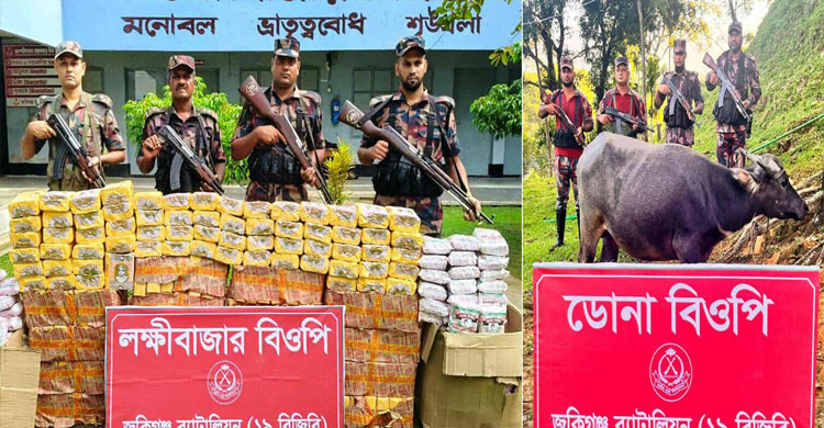 সিলেট সীমান্তে জব্দ বিড়ি, চিনি ও মহিষ