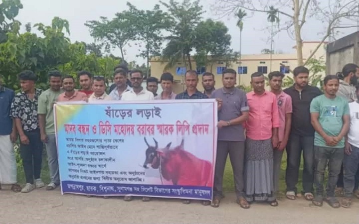 জগন্নাথপুরে ষাঁড়ের ল*ড়াইয়ের অনুমোদন চেয়ে মানববন্ধন
