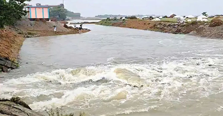 বাঁধ ভেঙে এবার ডুবল বোয়ালা হাওরের ফসল