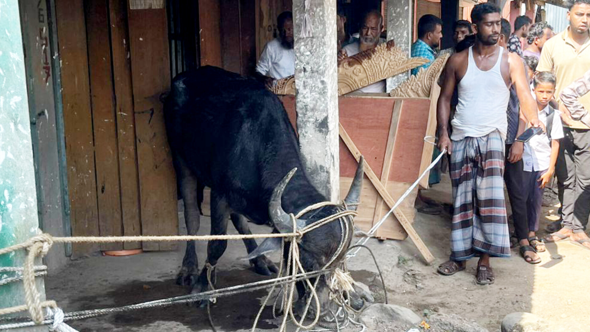 জৈন্তাপুরে মহিষের তা*ণ্ডবে আ*হত ৫, দোকানপাট ক্ষতিগ্রস্ত
