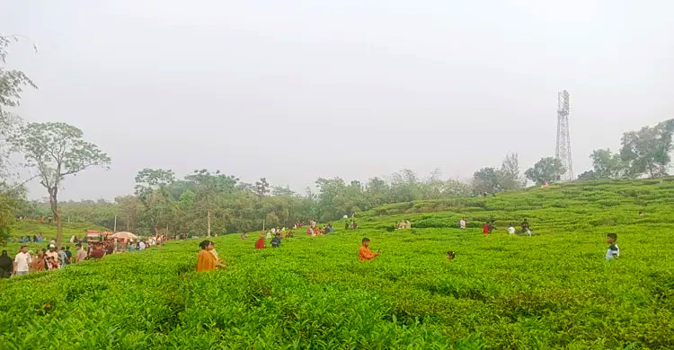লাক্কাতুড়ায় প্রবক্স/প্রবক্স গাড়ির মুখোমুখি সং/ঘ/র্ষে আ হ ত ৫