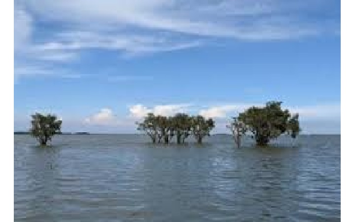 হাওরাঞ্চলের উন্নয়নে মন্ত্রী  চান সুনামগঞ্জবাসী