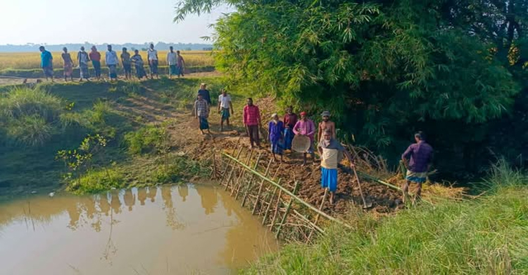 গোয়াইনঘাটে ২০০ একর জমি চাষাবাদে সুইচ গেইট নির্মানের দাবি স্বেচ্ছাশ্রমে বাঁধ নির্মাণ