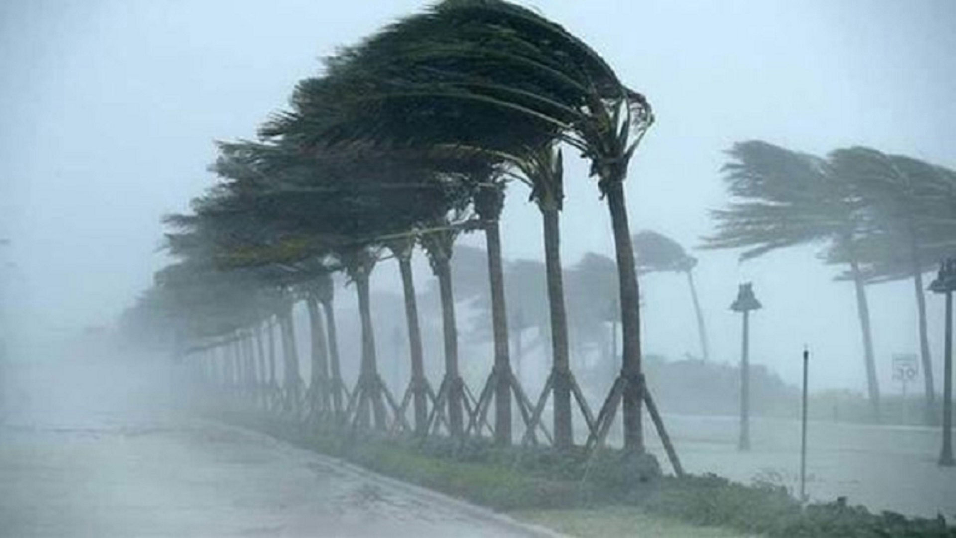 সিলেটসহ ১৪ অঞ্চলে ব*জ্রঝড়ের শ*ঙ্কা