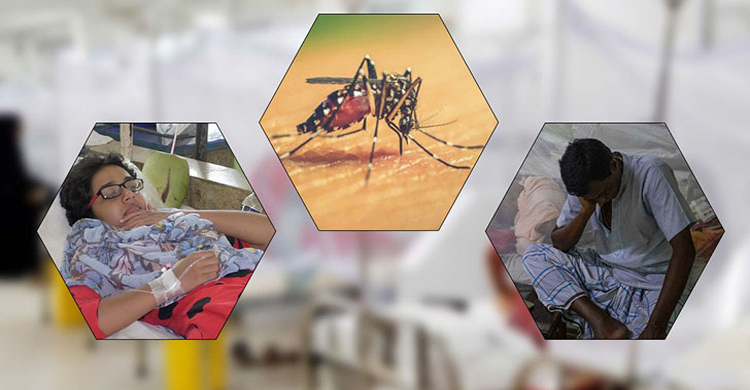ডেঙ্গু আক্রান্ত হয়ে মৃত্যু হাজার ছাড়াল